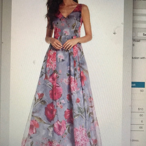 Adrianna Papell Dresses & Skirts - prom organza floral Adrianna Papell w pockets sz4